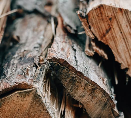 Hickory wood