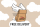 City Barbeque free delivery