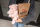 pig and bag
