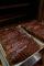 Ribs freshly off the smoker
